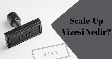 Girişimcilere Özel Scale Up Vizesi İle İngiltere’ye Gidebilirsiniz!